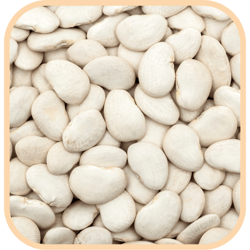 Gluten Free Co Lima Beans Natural 500g